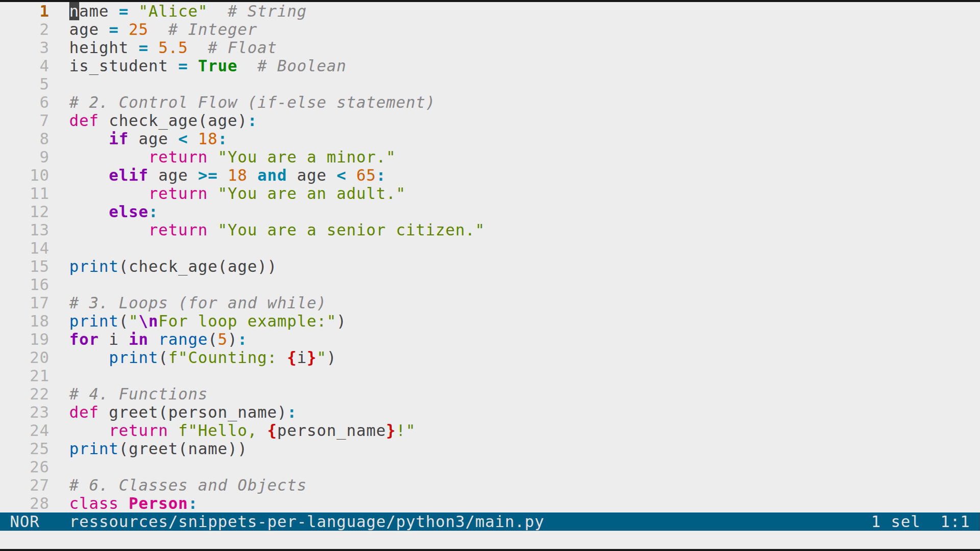 main.py 