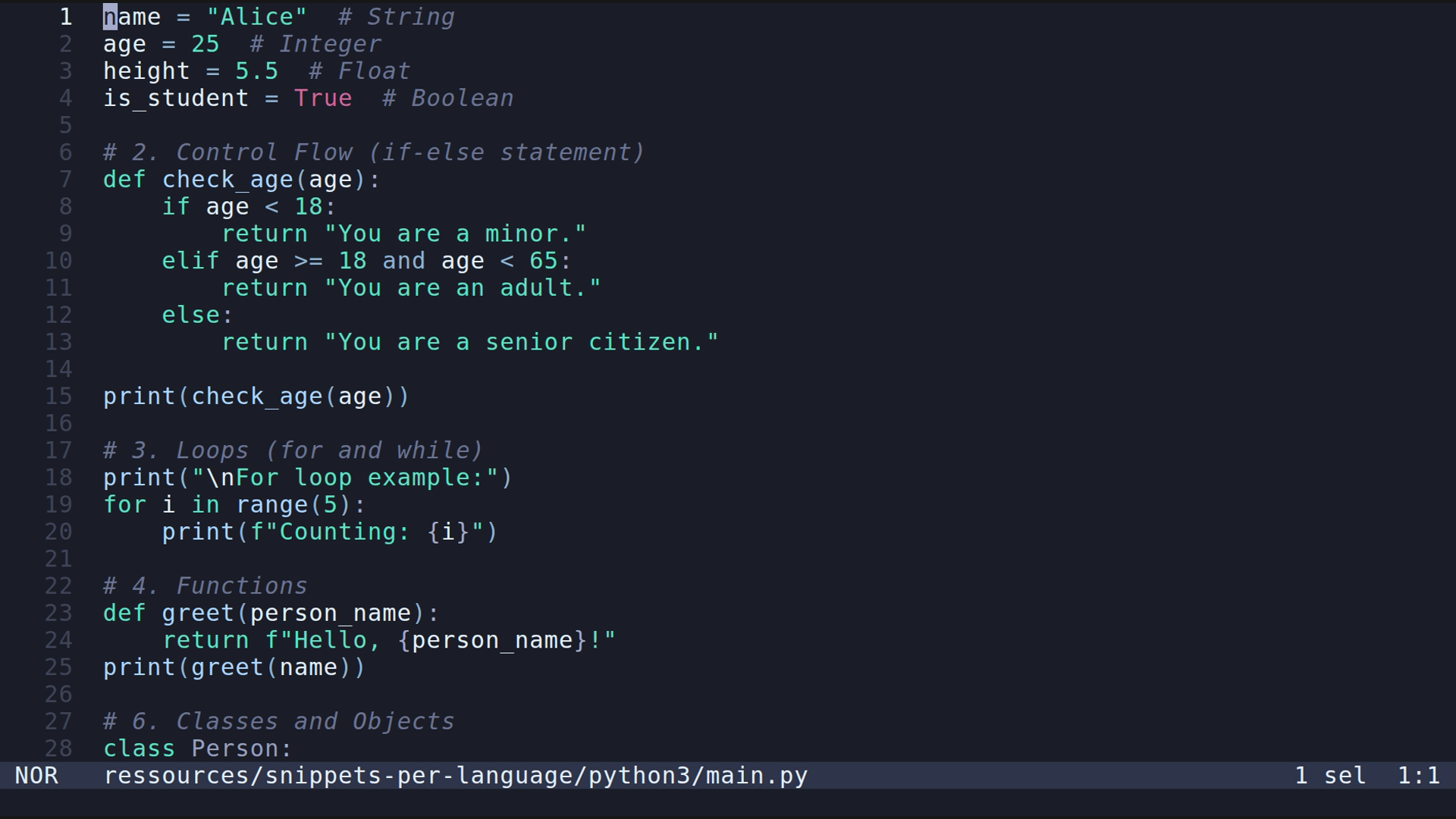 main.py 