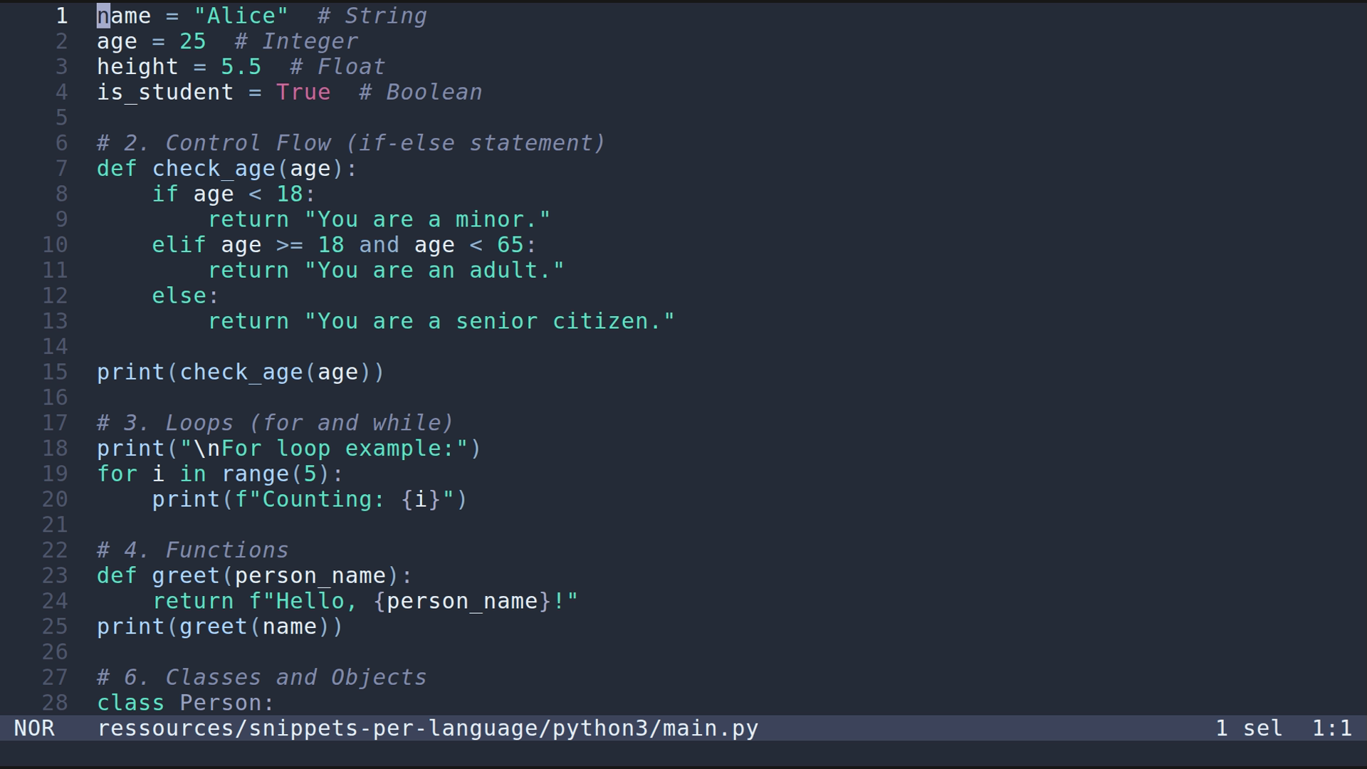 main.py 