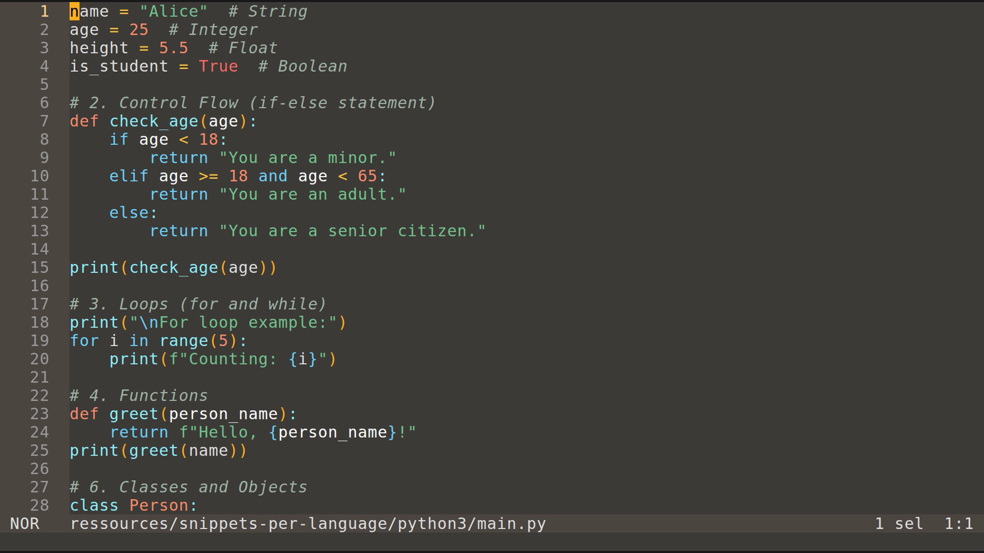 main.py 