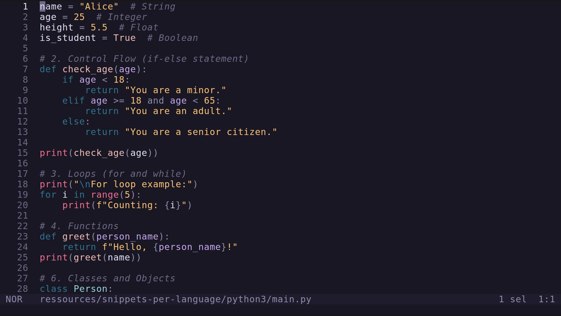 main.py 
