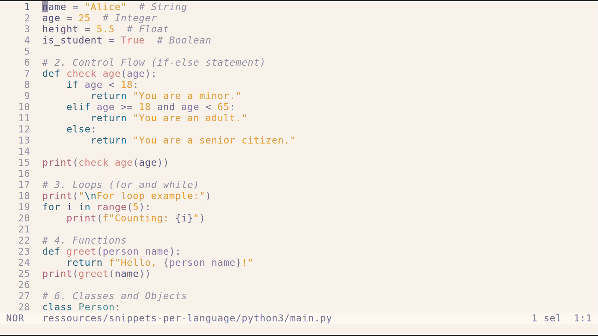 main.py 