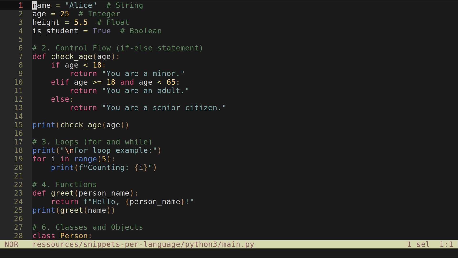 main.py 