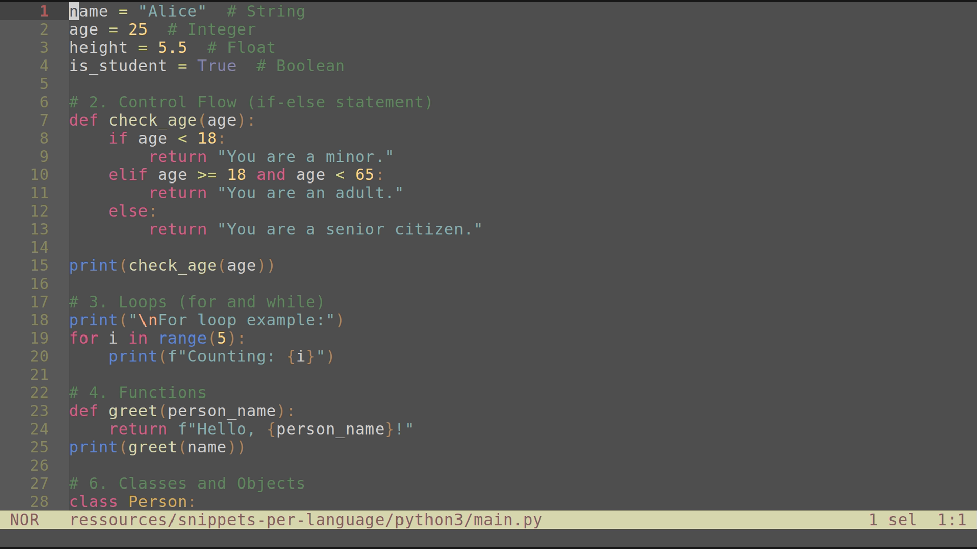 main.py 