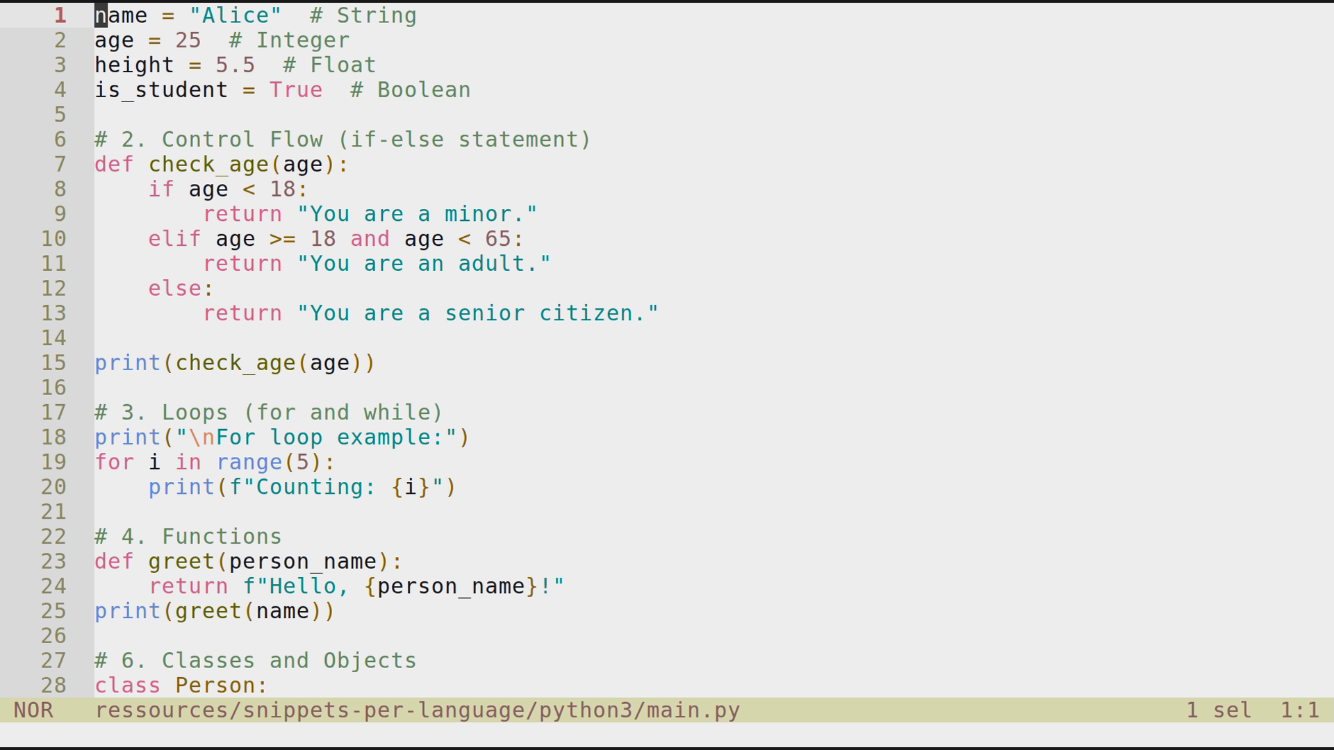 main.py 