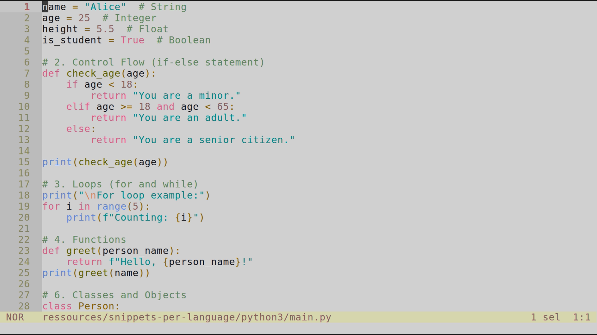 main.py 