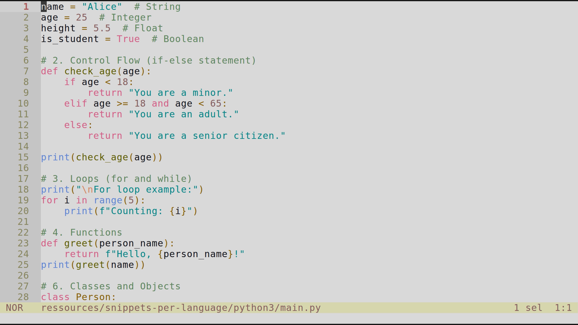 main.py 