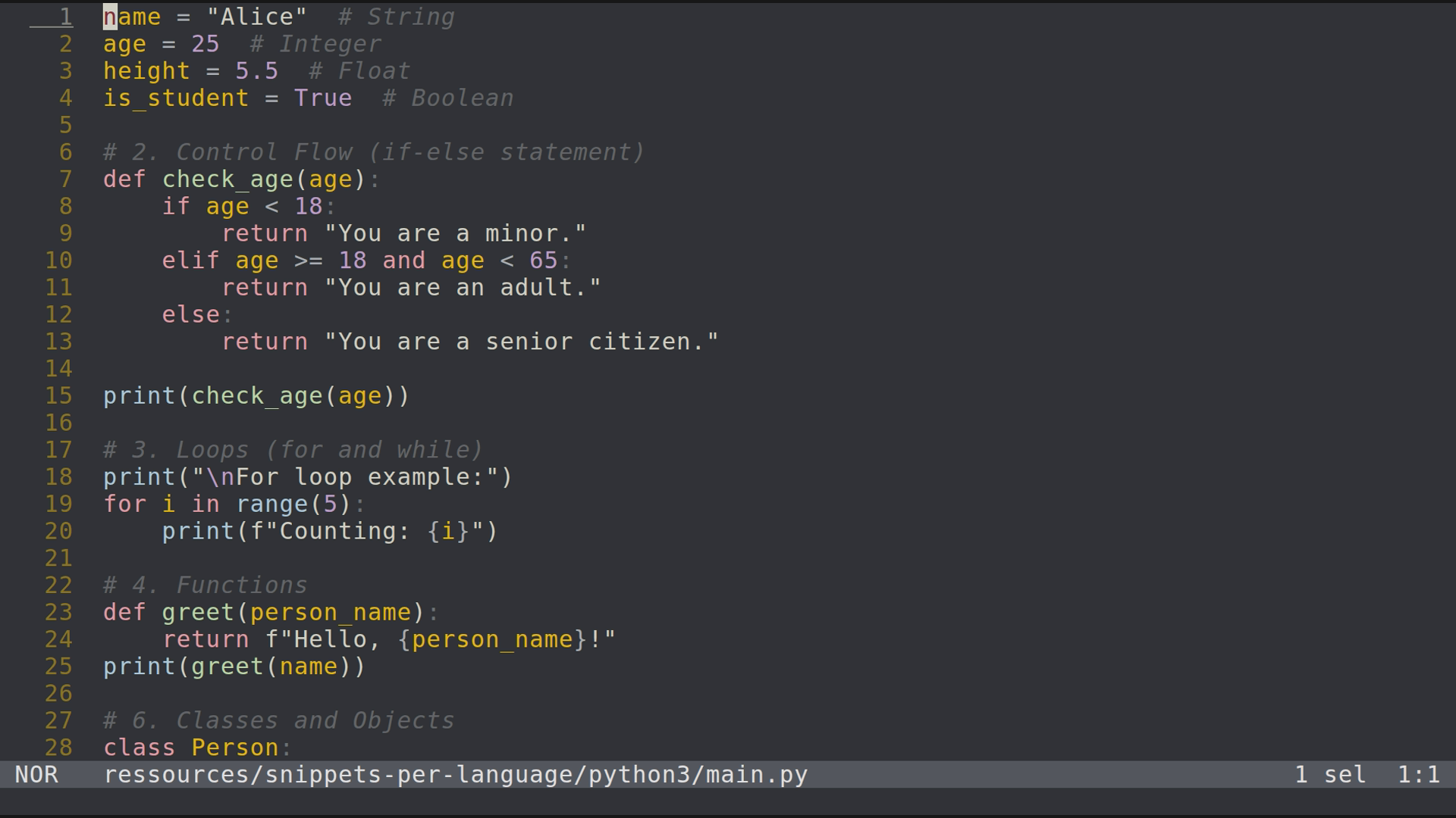 main.py 