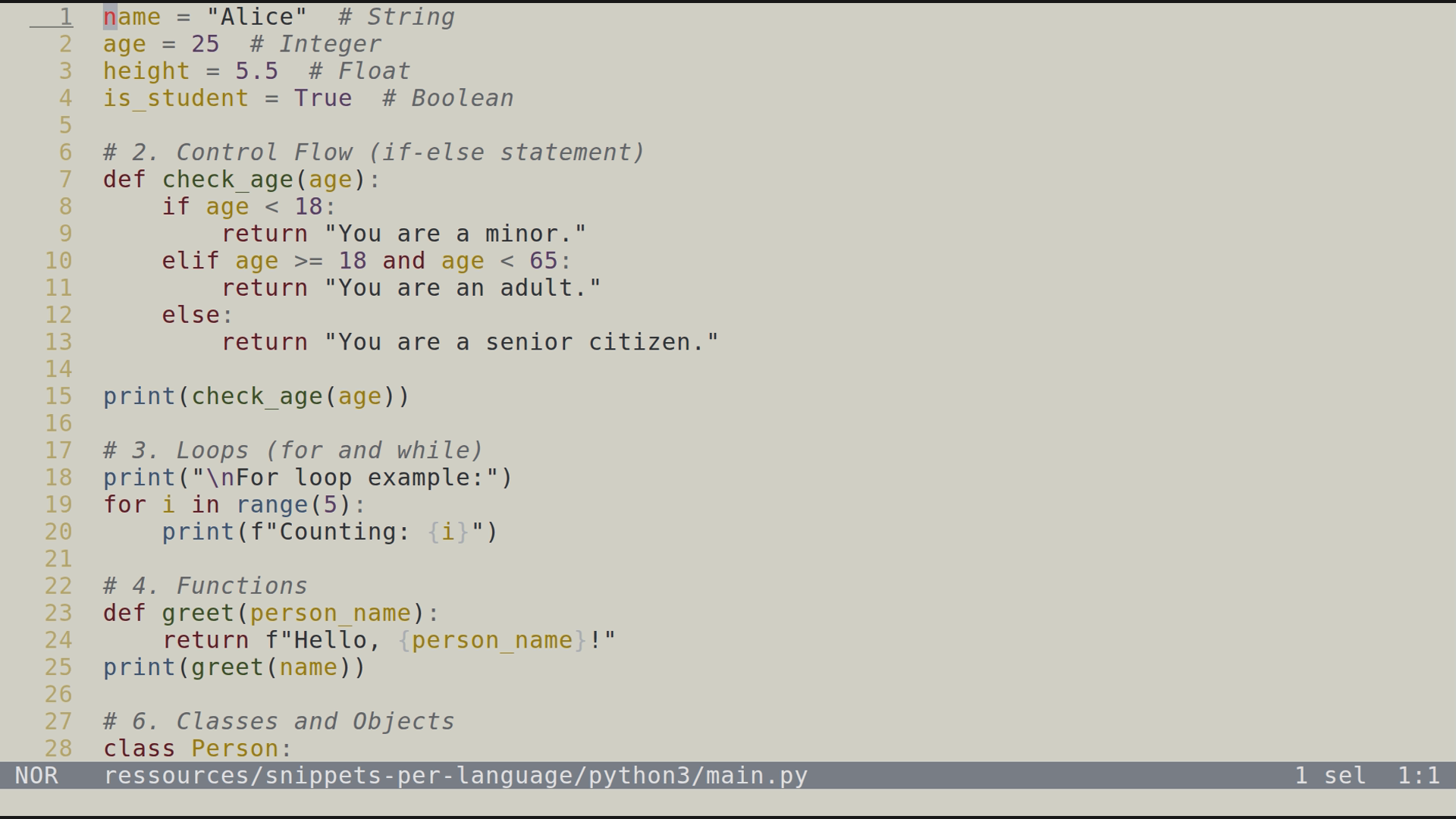 main.py 