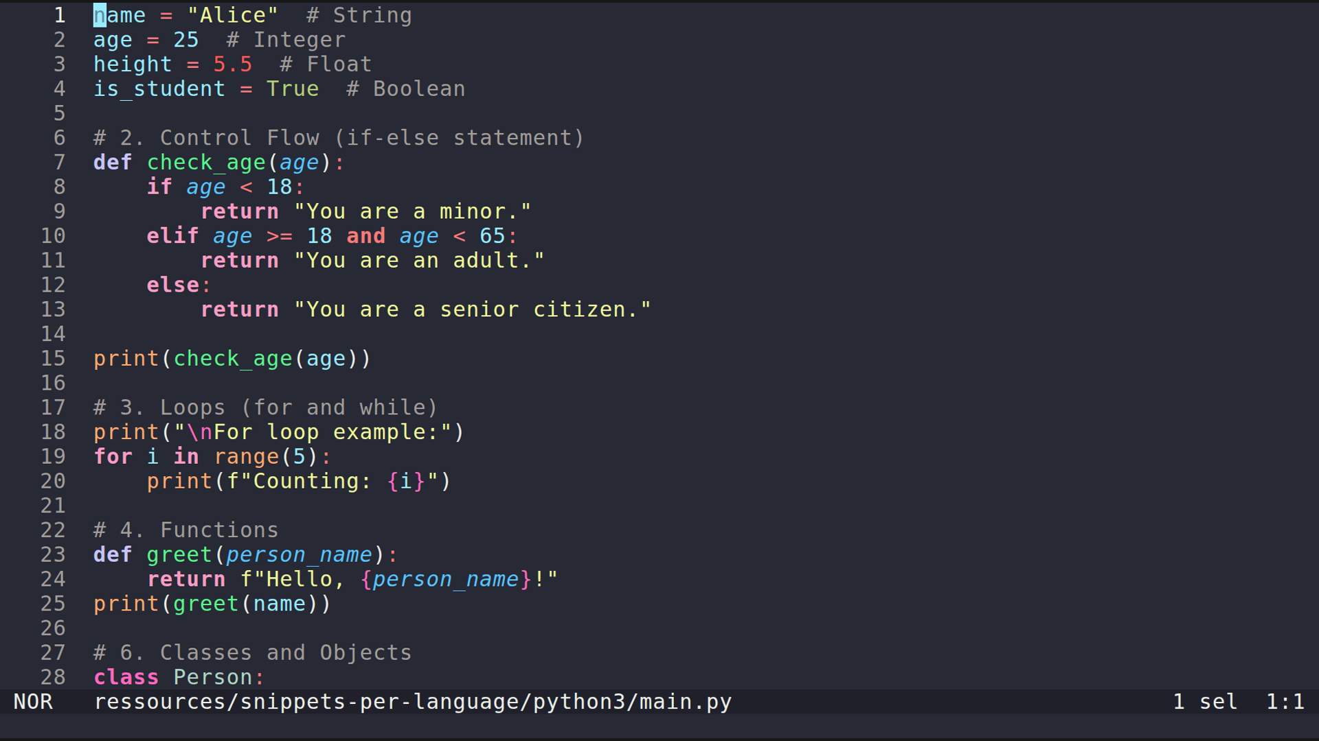 main.py 