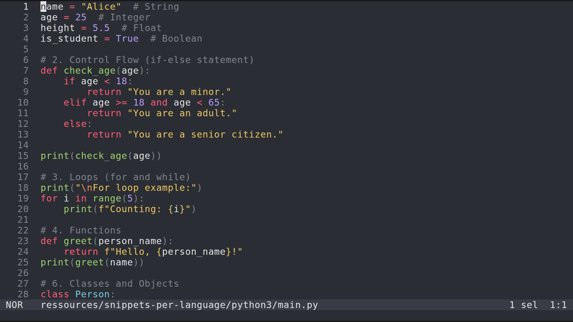 main.py 