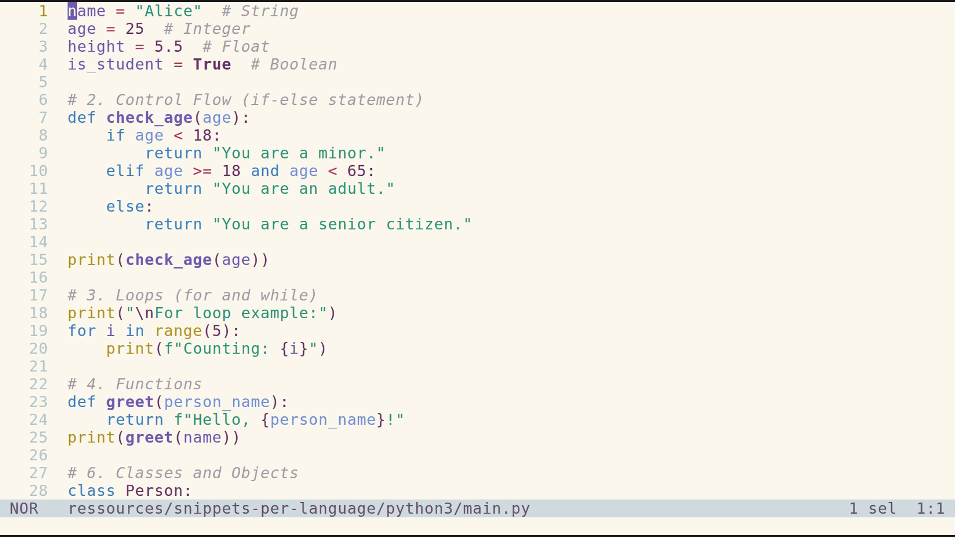 main.py 