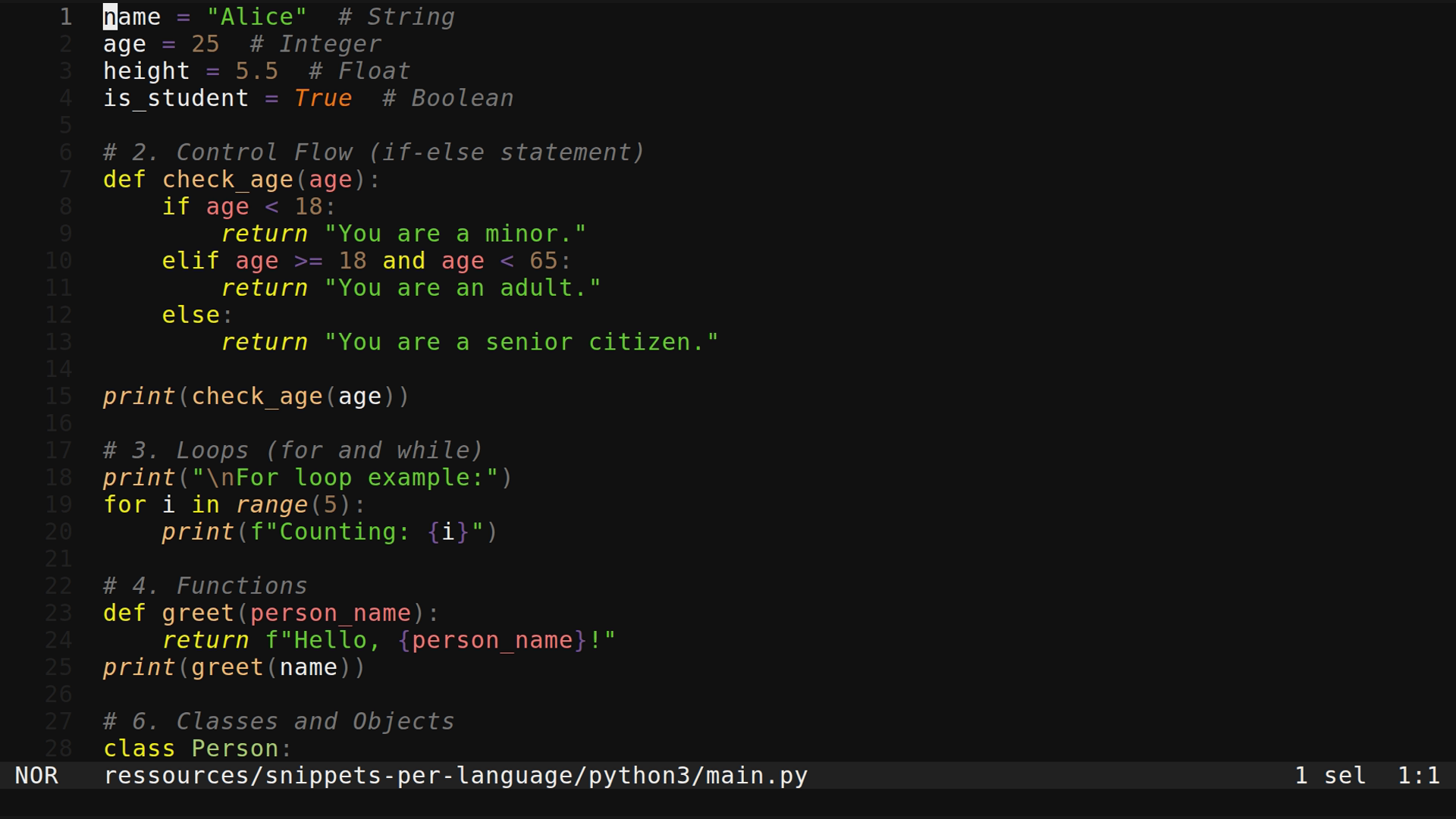 main.py 