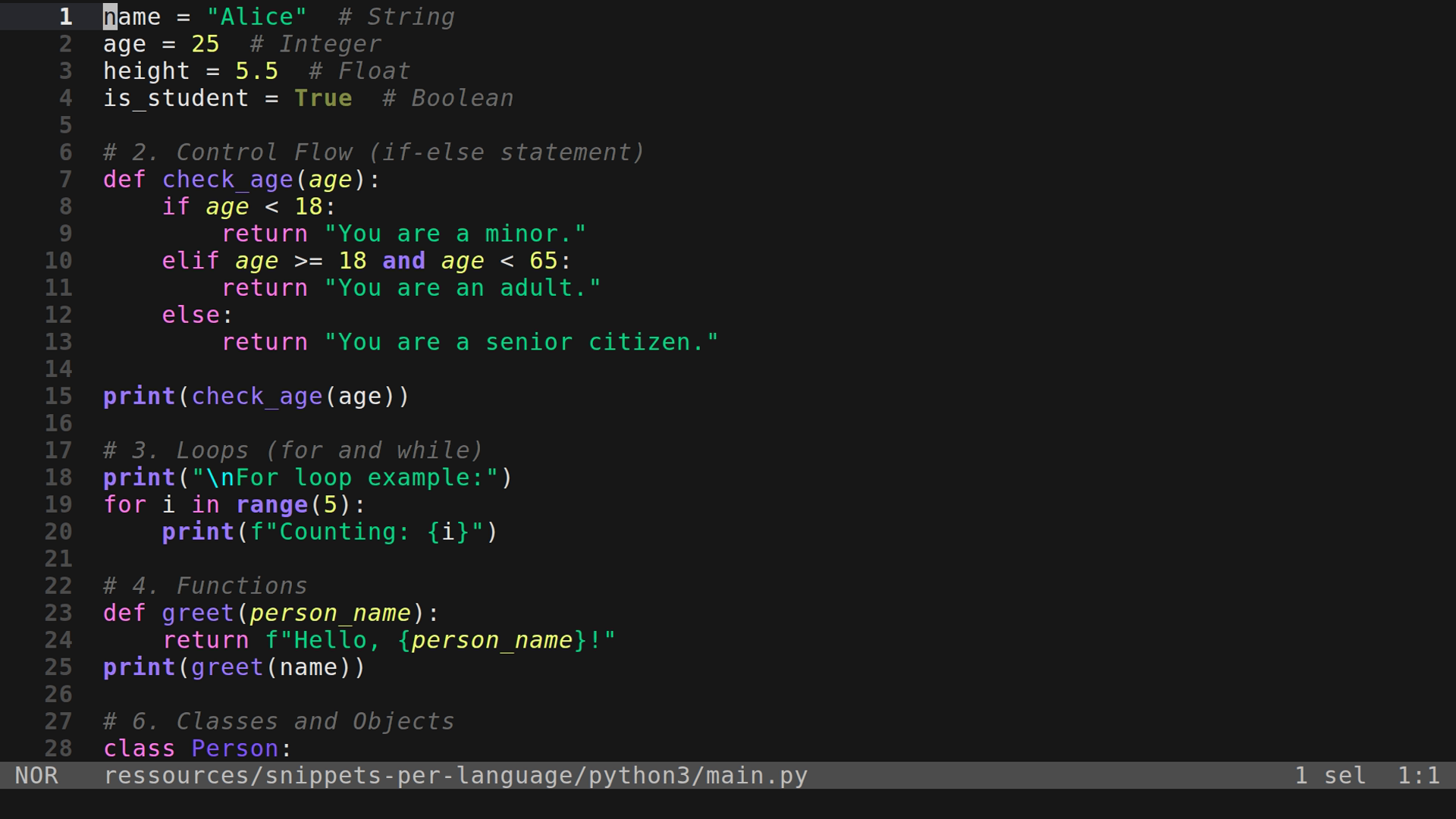 main.py 