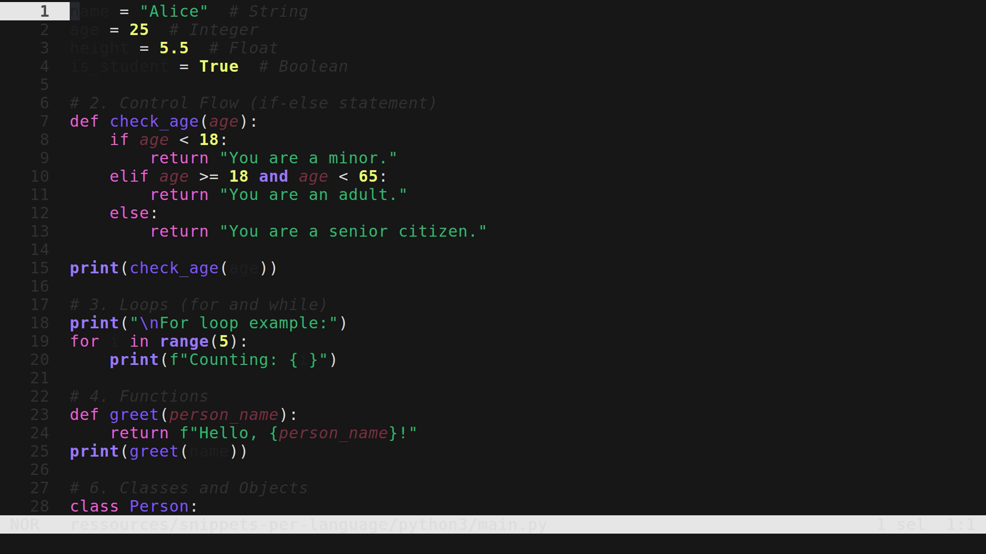 main.py 
