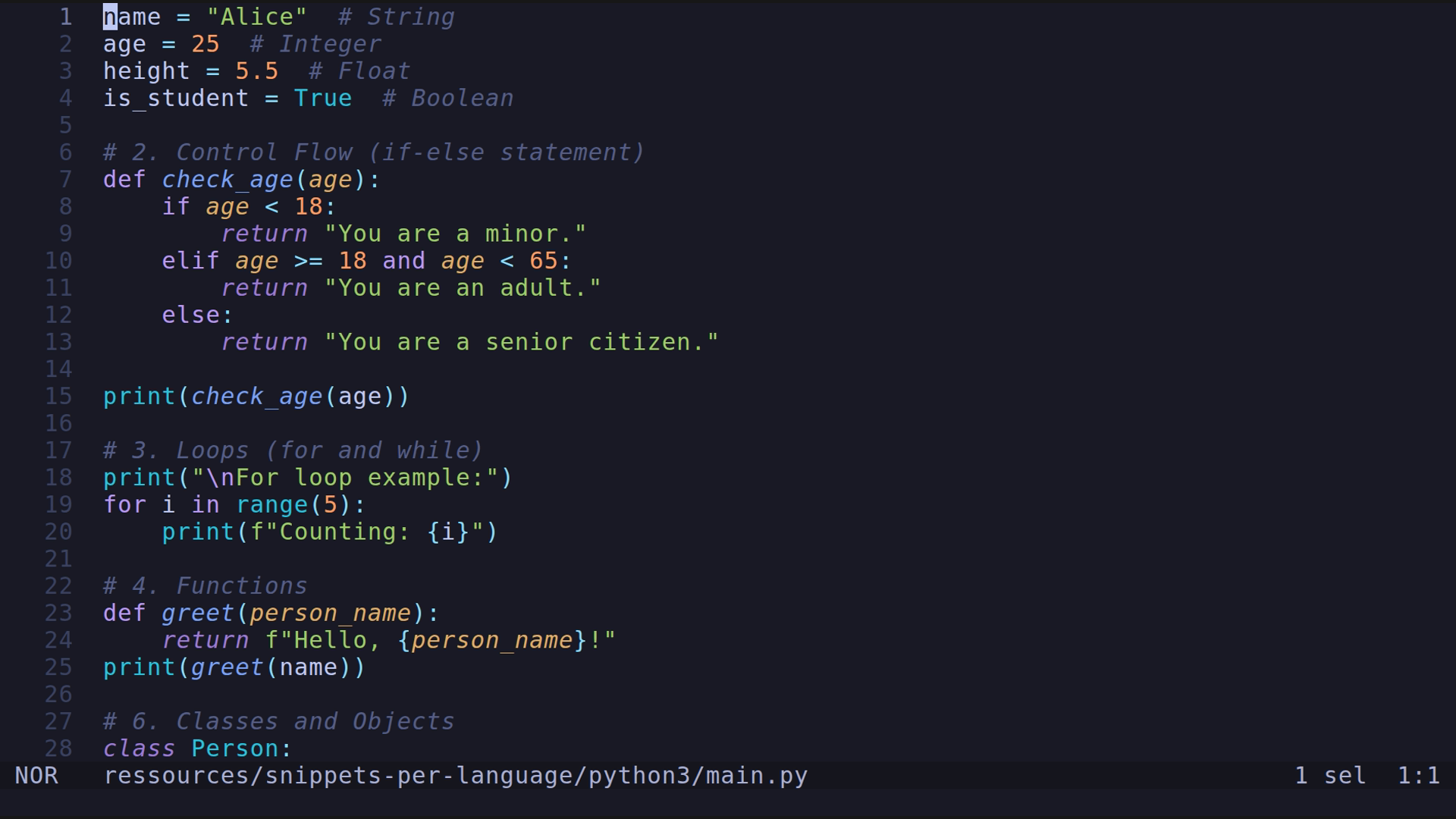 main.py 