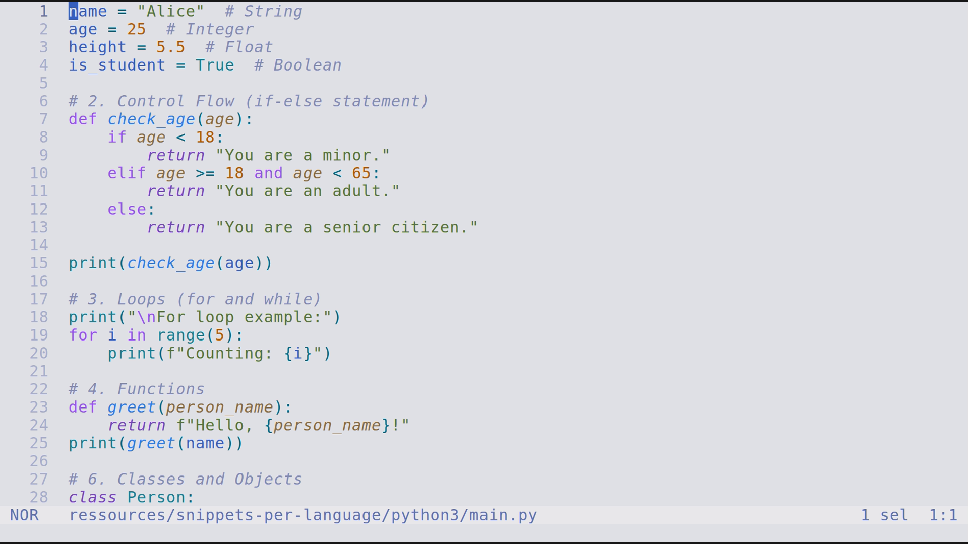 main.py 