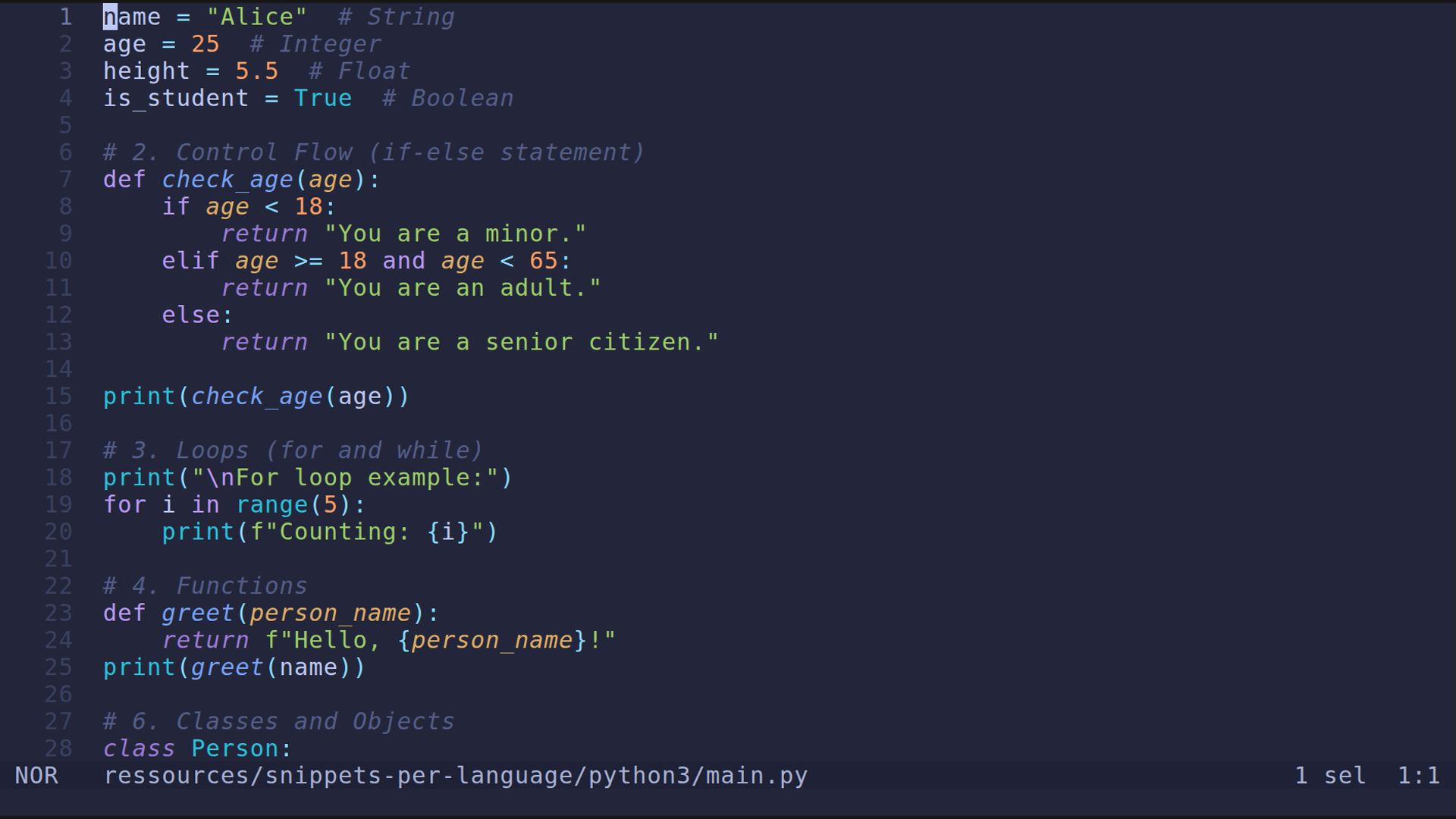 main.py 