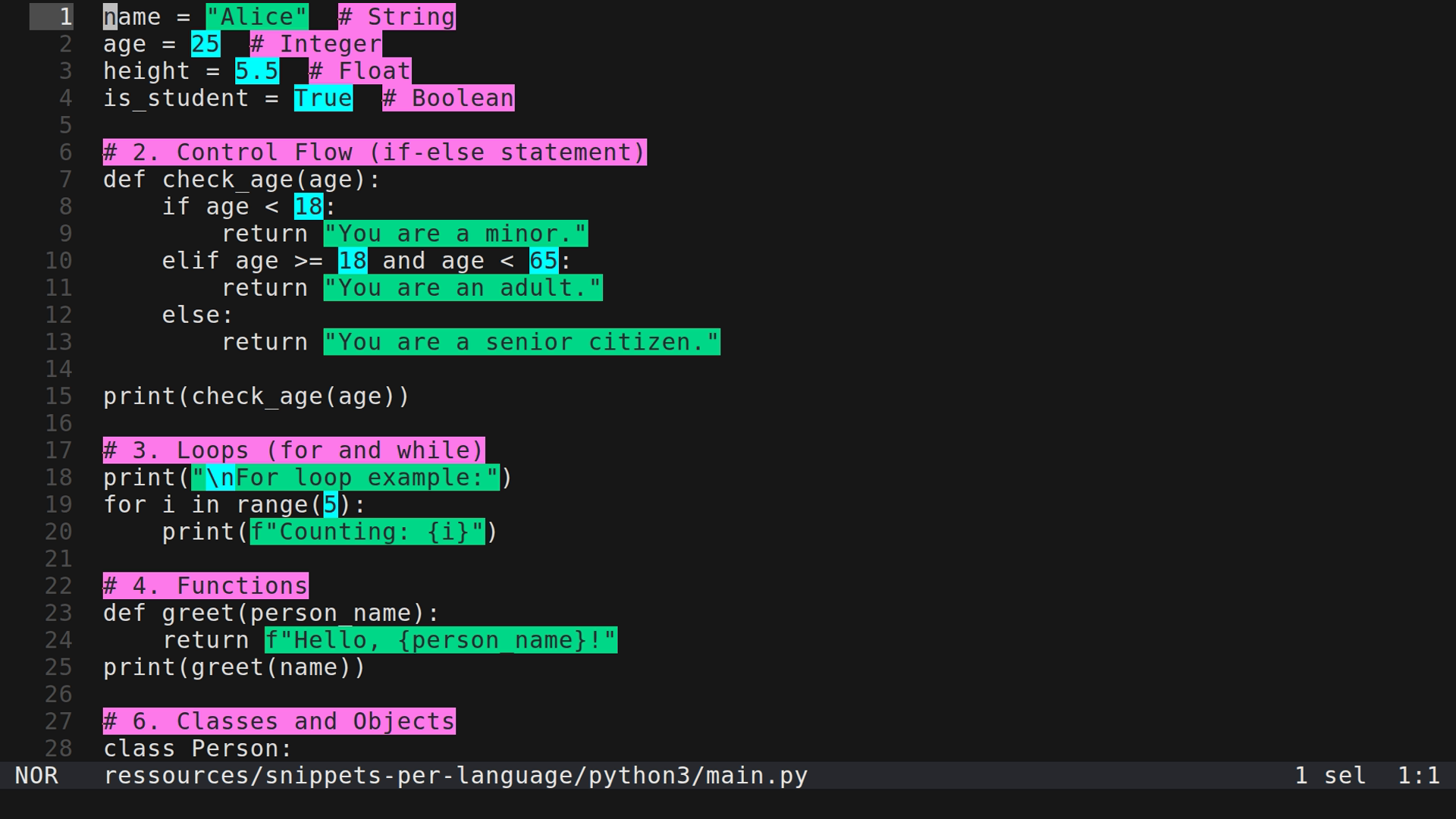 main.py 