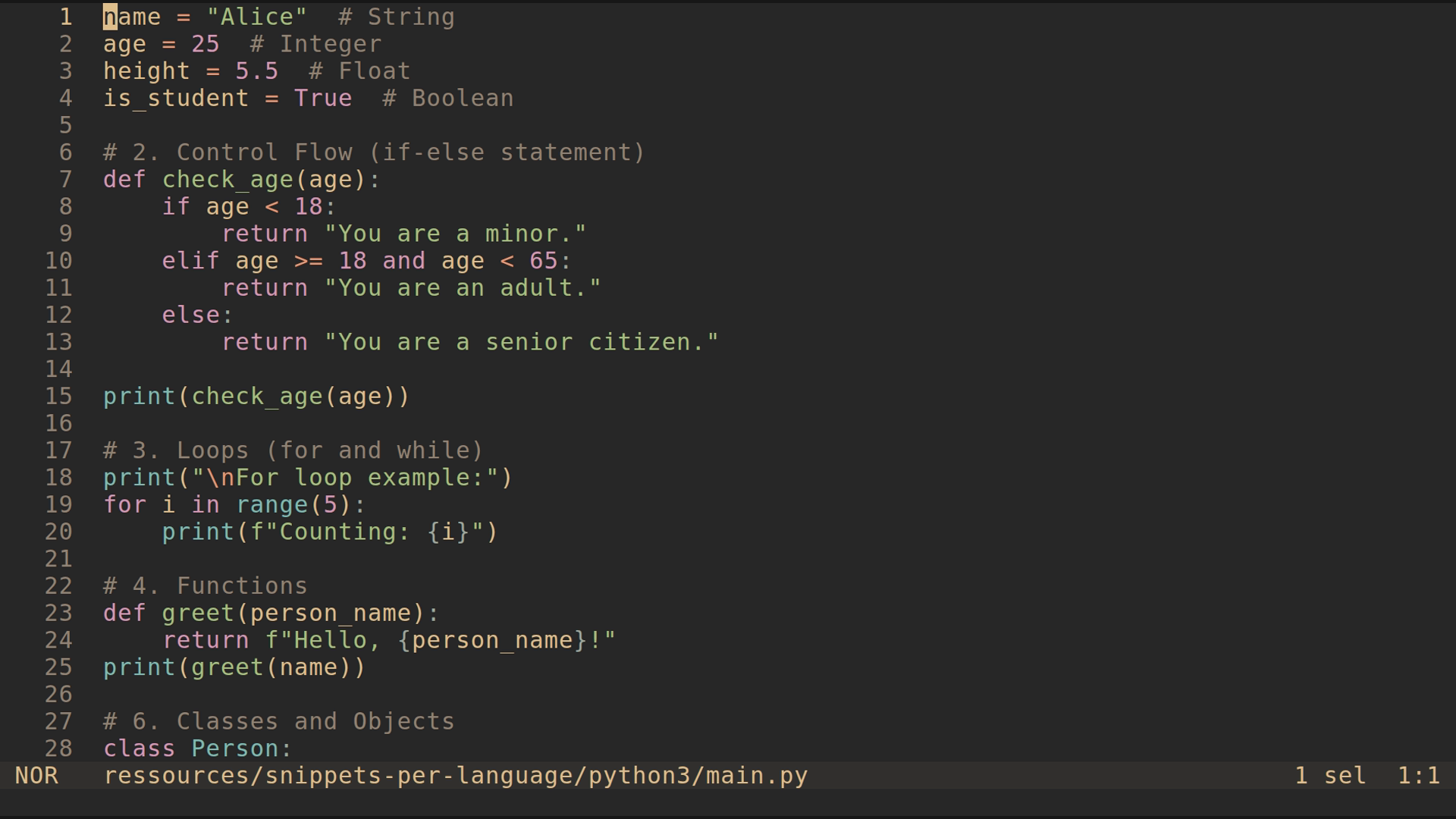 main.py 
