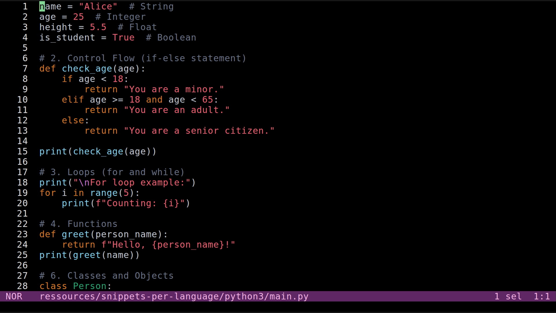 main.py 