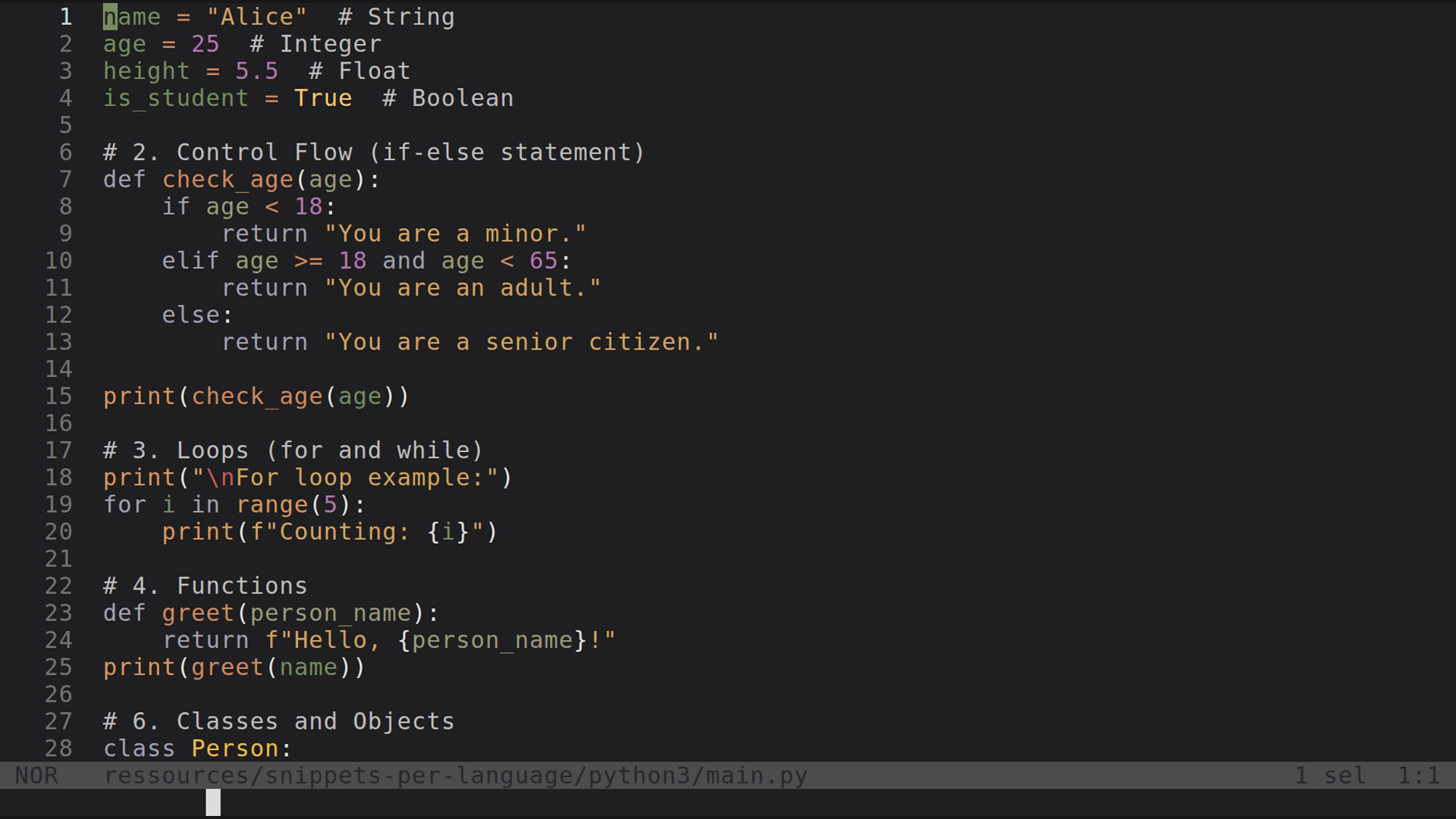 main.py 