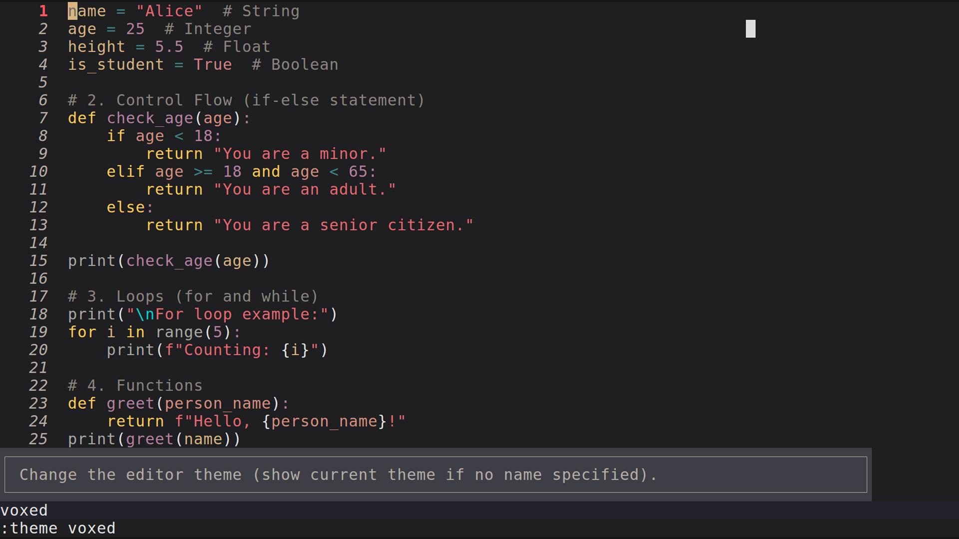 main.py 