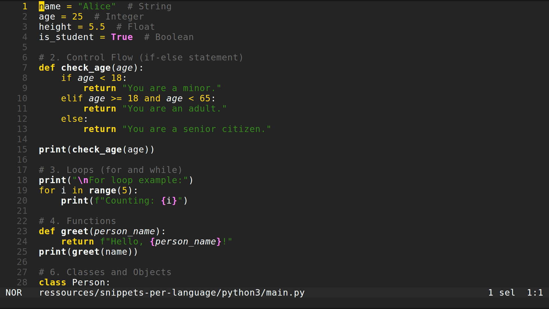 main.py 