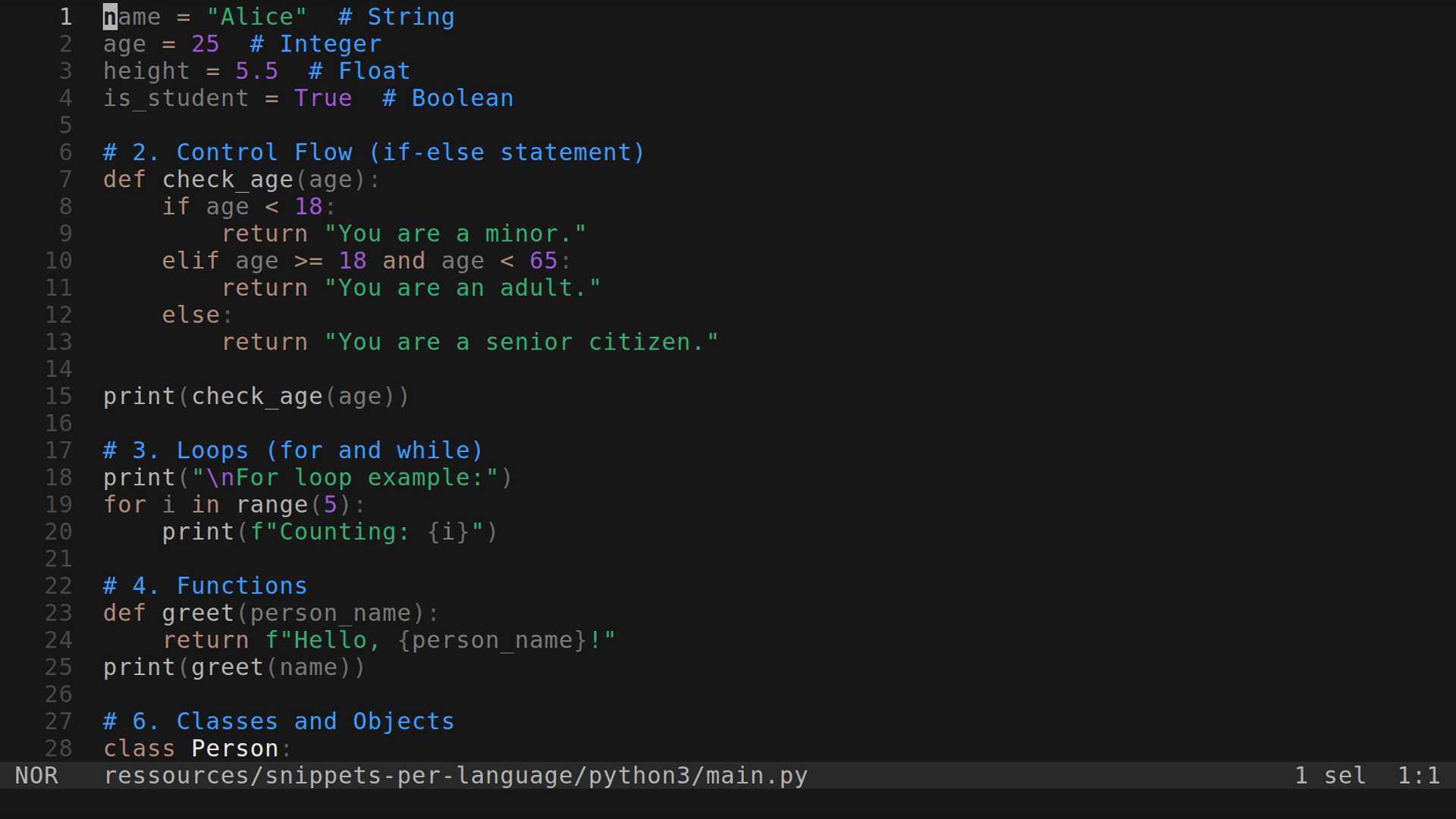 main.py 