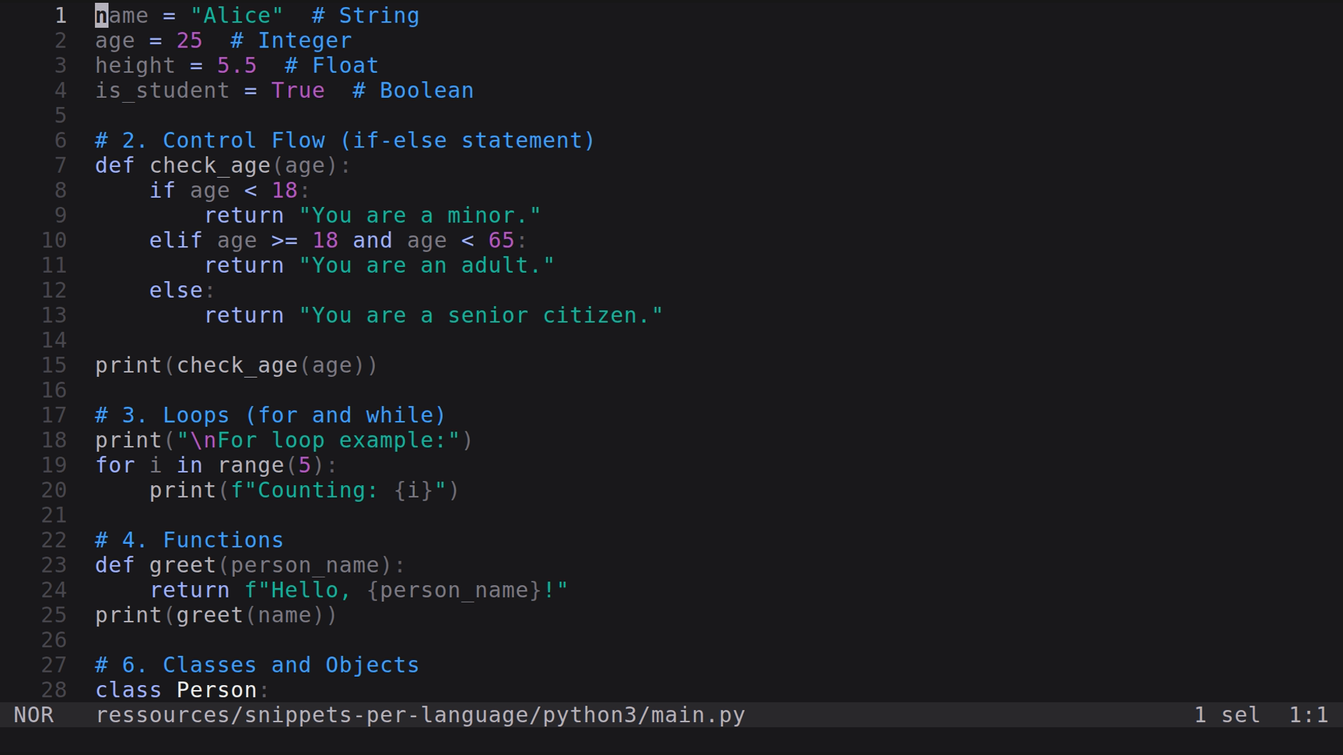 main.py 