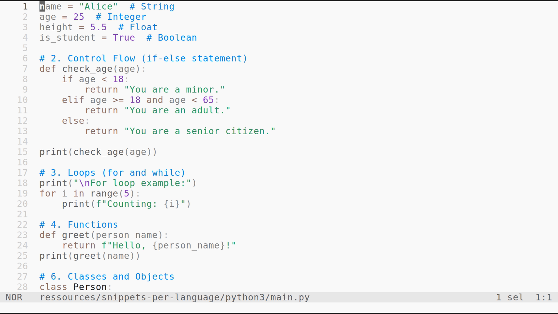 main.py 