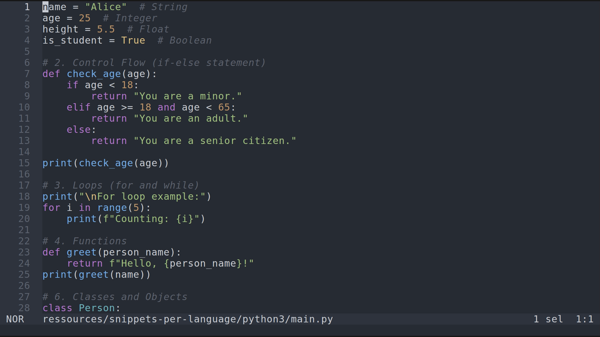 main.py 