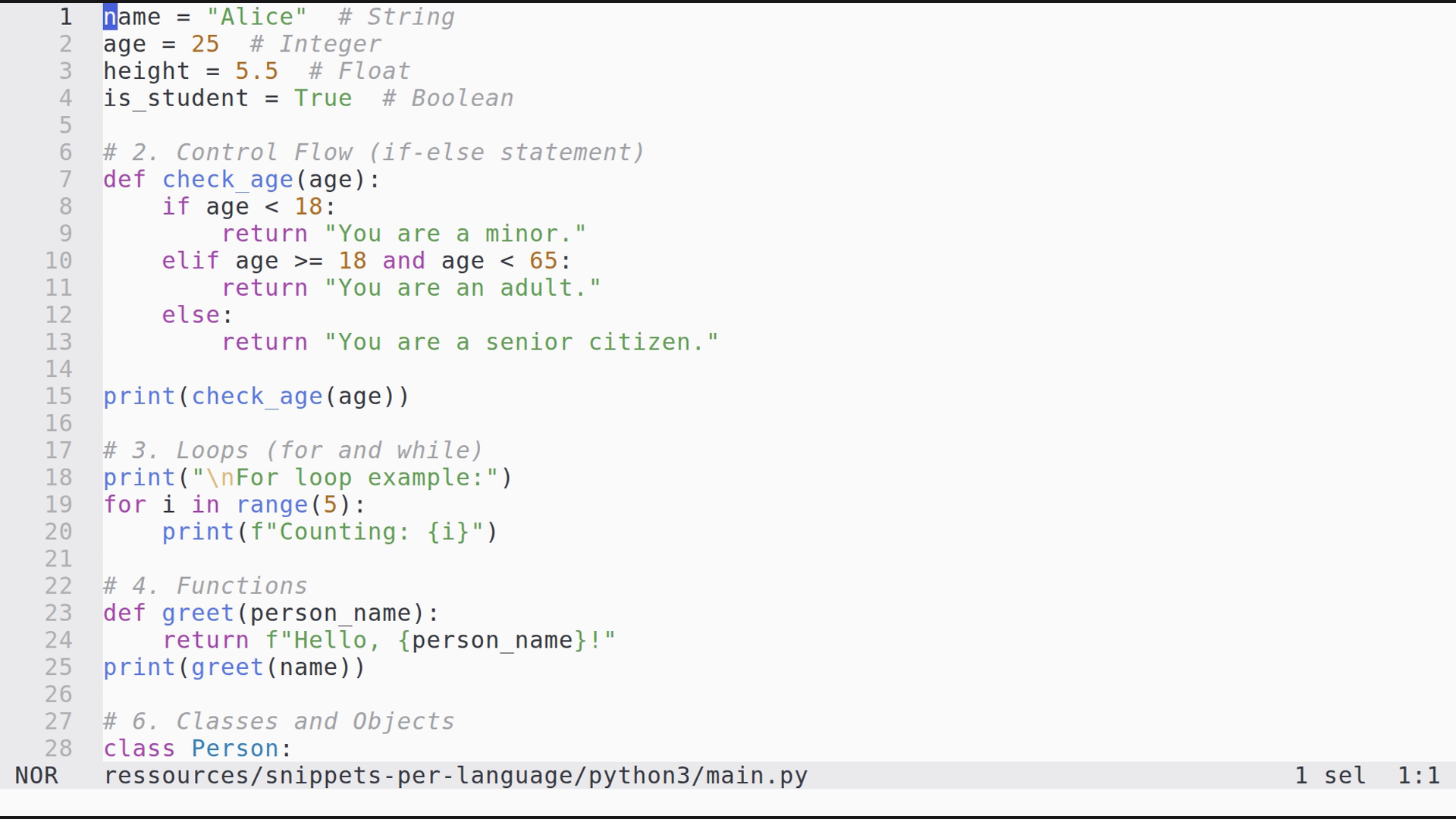 main.py 