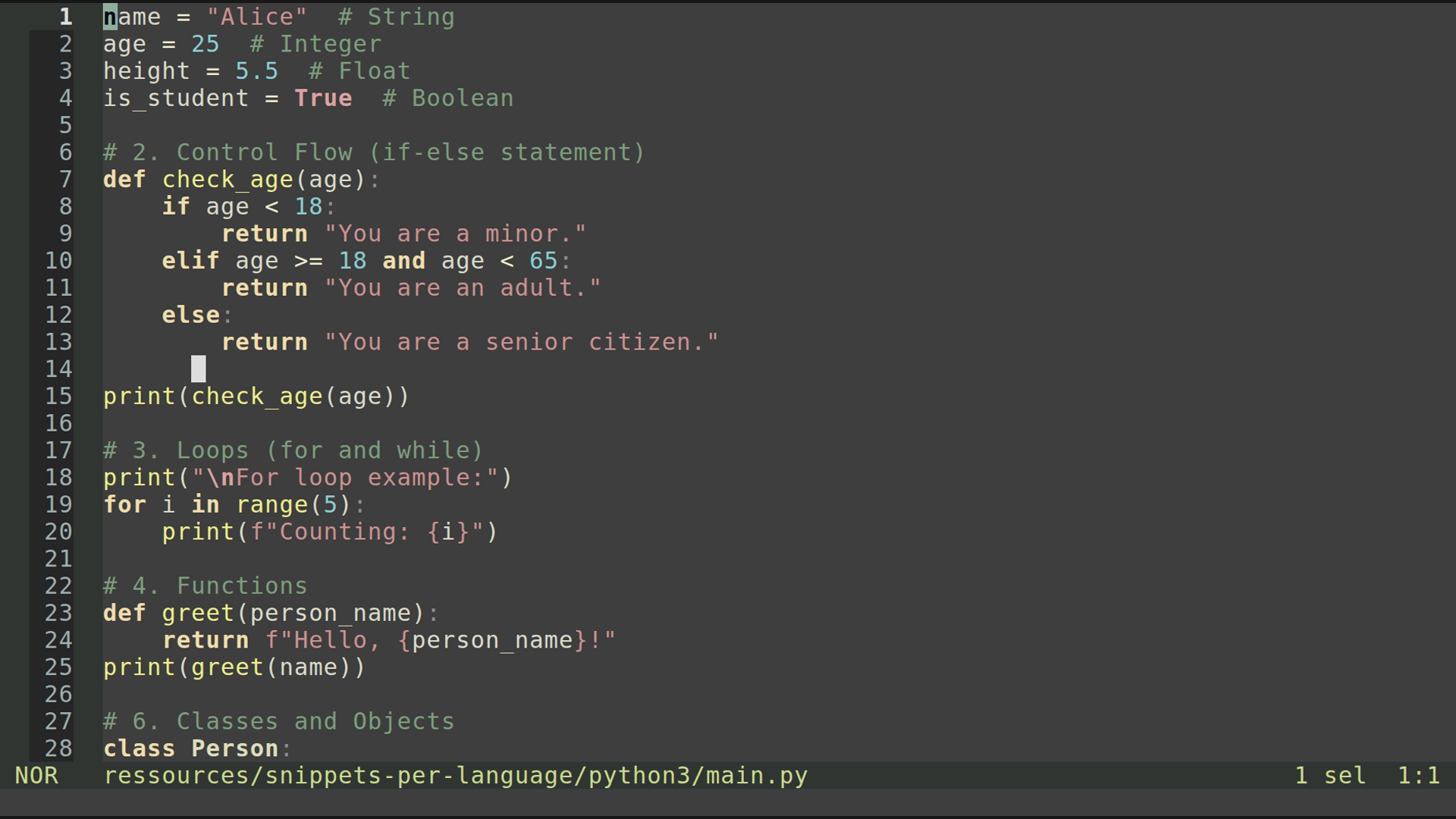 main.py 